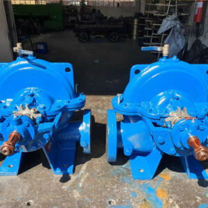 Pumps South Africa - APS Model 120-121